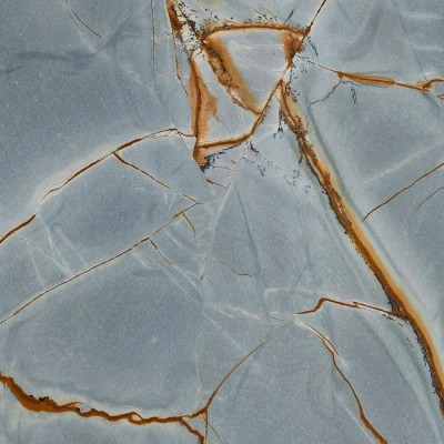 Blue Roma