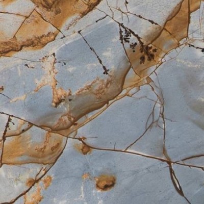 Blue Roma