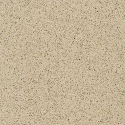 Crema Pisa