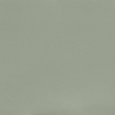 Posidonia Green